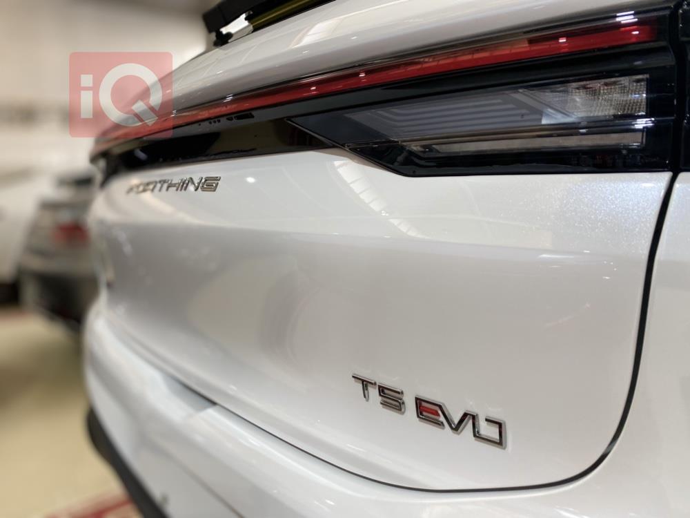 دونج فينج T5 EVO